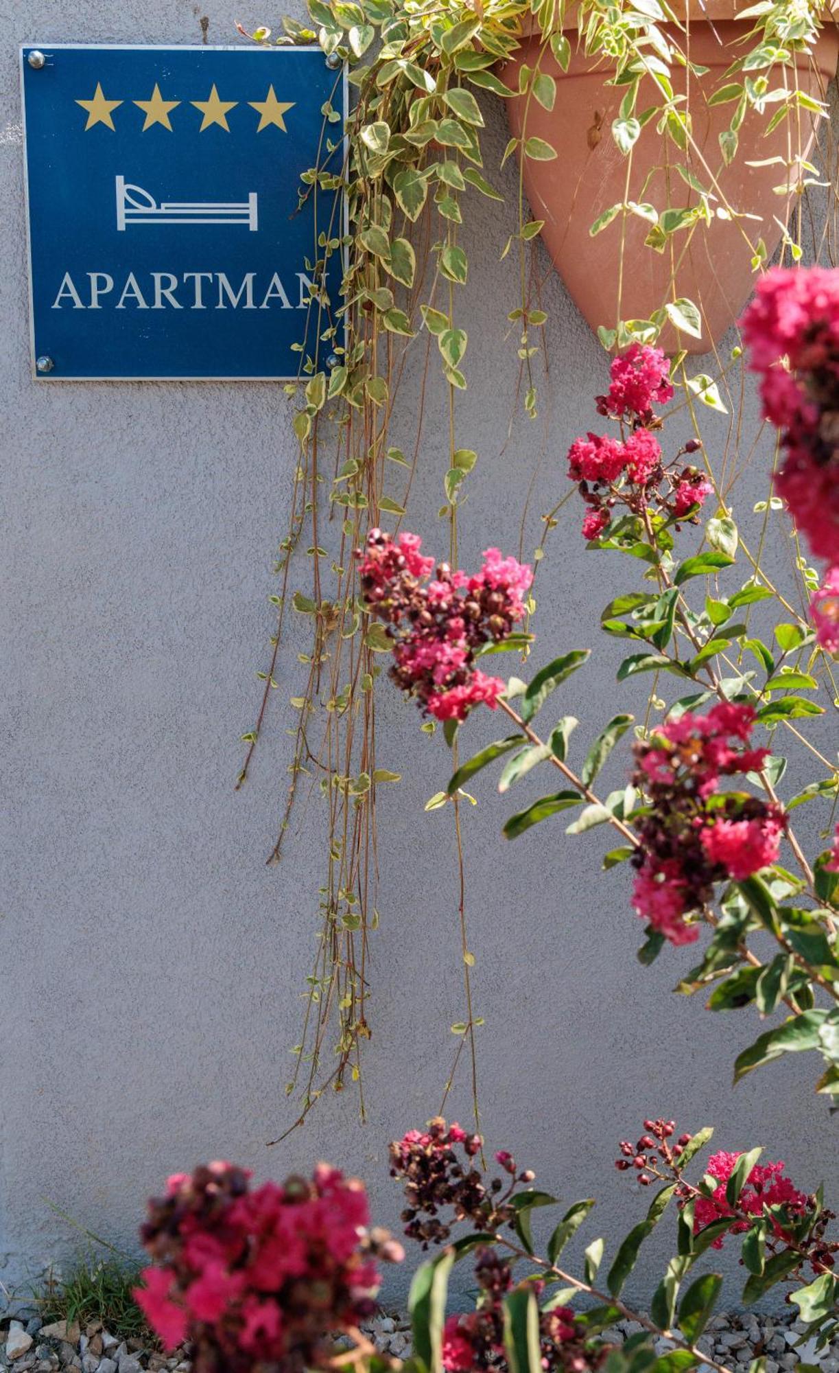 Luxury Apartment Alba With Pool Kanfanar Exteriér fotografie